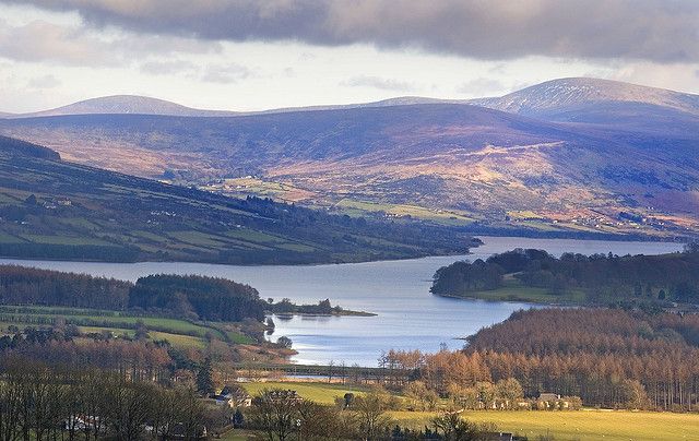 IREBlessington2